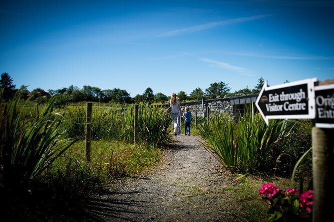 Guided Doolin Cave Tour: Experience Europe's Largest Stalactite - What You’ll See Underground: Stalactites, Cave Passages, and the Main Event