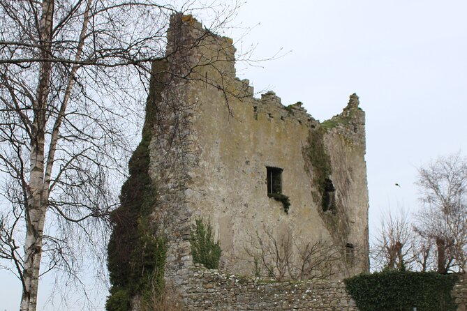 Guided eBike Tour - Killaloe and the Lough Derg Shore - Why this Killaloe to Lough Derg eBike tour is such a smart outing