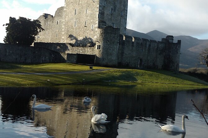 Guided Killarney National Park Walking Tour - St. Marys Cathedral facts you can actually use