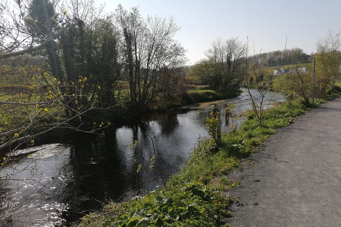Guided Walking Tour in stunning county Waterford Ireland - New Bridge and the 4000 BC story you can actually picture