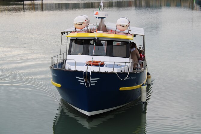 Howth Cliffs and Ireland's Eye Ferry Boat Tour - How the Howth Cliffs and Irelands Eye ferry feels different from shore