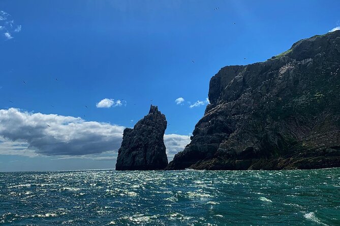 Howth Cliffs and Ireland's Eye Ferry Boat Tour - Ireland’s Eye loop: Martello Tower, seals, birds, and the Kirwan story