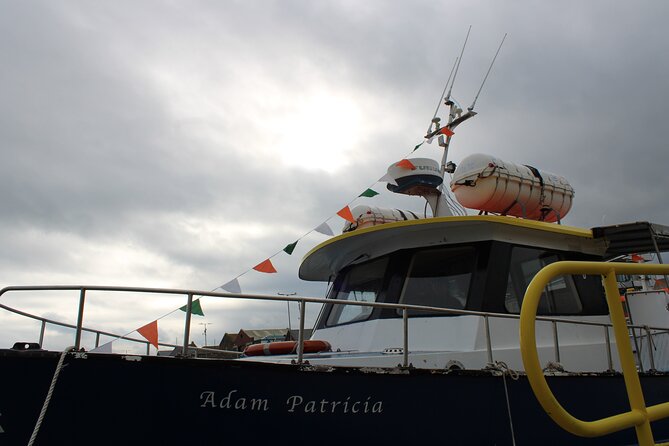 Howth Cliffs and Ireland's Eye Ferry Boat Tour - What the commentary is like, and how to make sure you catch it