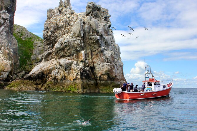 Howth Coastal Boat Tour (Ireland's Eye Ferries 50 mins trip) - Key highlights to notice before you book