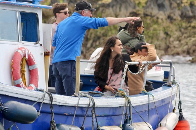 Howth Coastal Boat Tour (Ireland's Eye Ferries 50 mins trip) - The cruise route: Howth Cliffs and Ireland’s Eye, up close