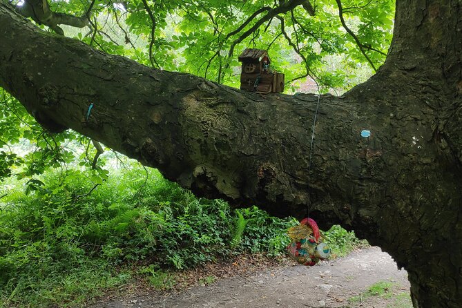Howth Hiking Trail from Dublin: Mythology and Legend - Getting to the Start in Dublin Without Losing Time