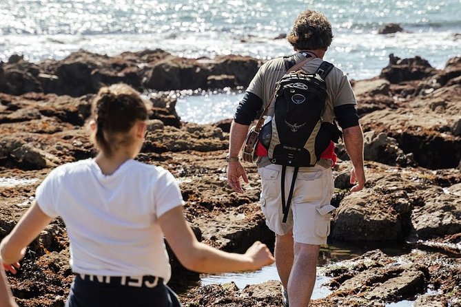 Howth Safari Hiking Tour - What $71.38 buys you, and why it feels fair
