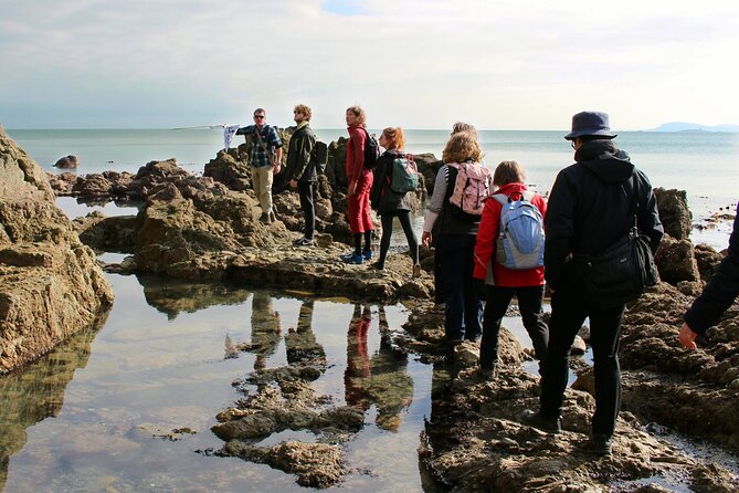 Howth Safari Hiking Tour - Breakfast in Howth, then the trail starts winding