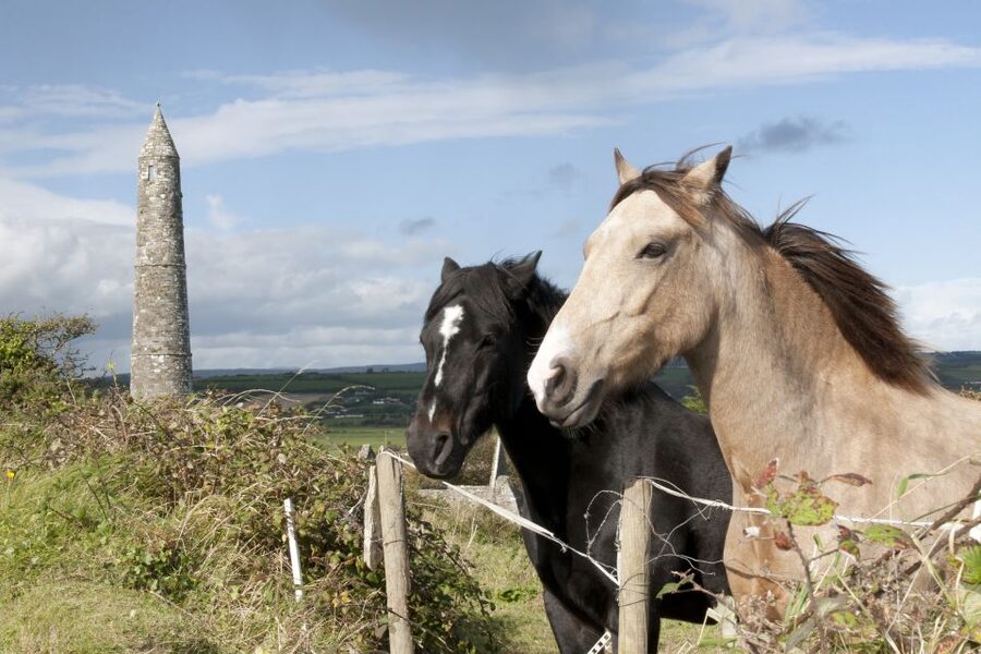 Ireland: Blarney Castle, Kilkenny & Irish Whiskey 3-Day Tour - West Cork coastal driving and Kinsale overnight