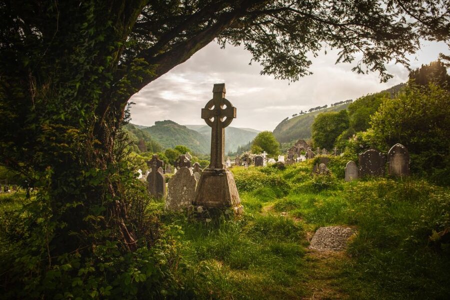 Ireland: Blarney Castle, Kilkenny & Irish Whiskey 3-Day Tour - Waterford city sights, from crystal to Vikings