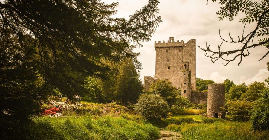 Ireland: Blarney Castle, Kilkenny & Irish Whiskey 3-Day Tour - Rock of Cashel, where one hill holds a thousand years