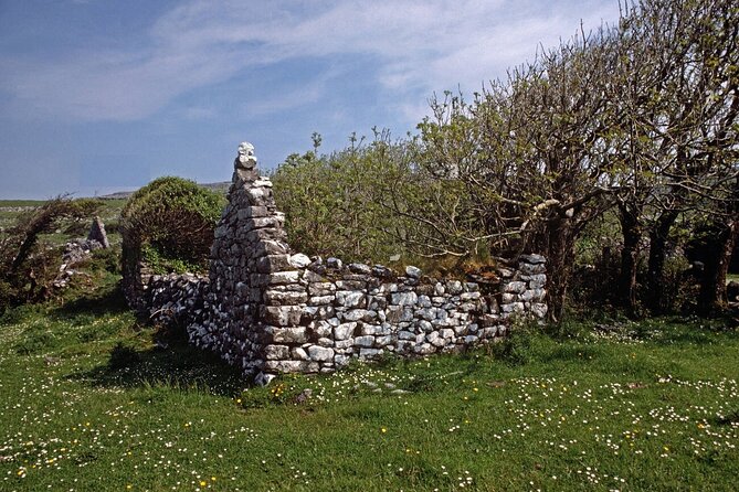 Irish Famine Museum / Exhibition Dublin - Artefacts, newspapers, and the museum’s plain-facts approach