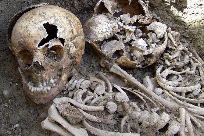 Irish Famine Museum / Exhibition Dublin - How the 1-hour self-guided format works in real life