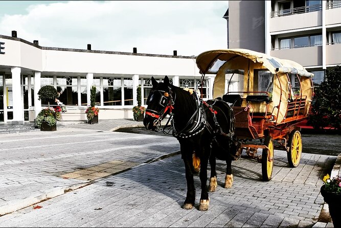 Jaunting Car Tour in Killarney National Park - Getting to Shepherds Lodge and Settling In for the Hour