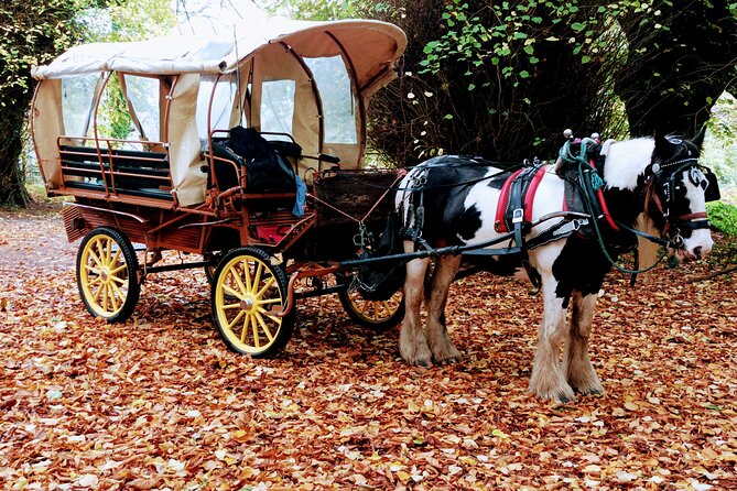 Jaunting Car Tour in Killarney National Park - Killarney National Park Time: UNESCO Views and Lake Moments