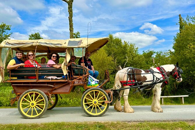 Jaunting Car Tour in Killarney National Park - Practical Tips That Make the Ride Smoother