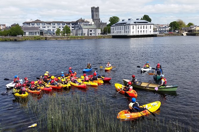 Kayaking & Canoeing in Limerick City - Wildlife spotting from the kayak seat: what to look for