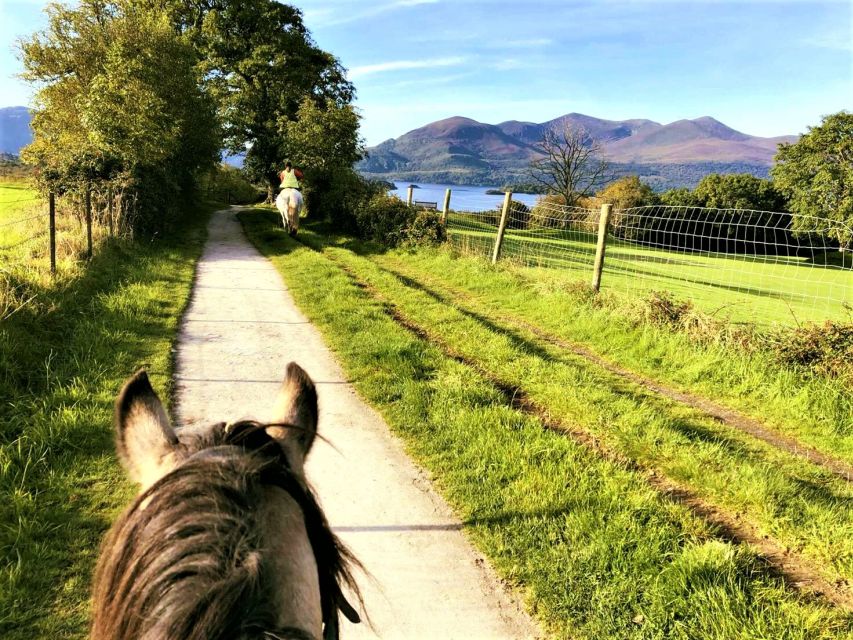 Kerry: Guided Horse Riding Tour in Killarney National Park - From the stables outside Killarney to the trail in Knockreer Estate