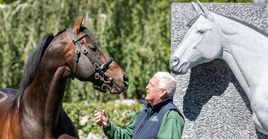 Kildare: Irish National Stud & Gardens - Key things to know before you go