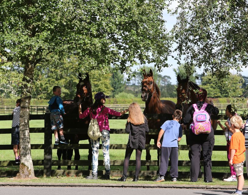 Kildare: Irish National Stud & Gardens - Price and value: $22 goes further here than you’d expect