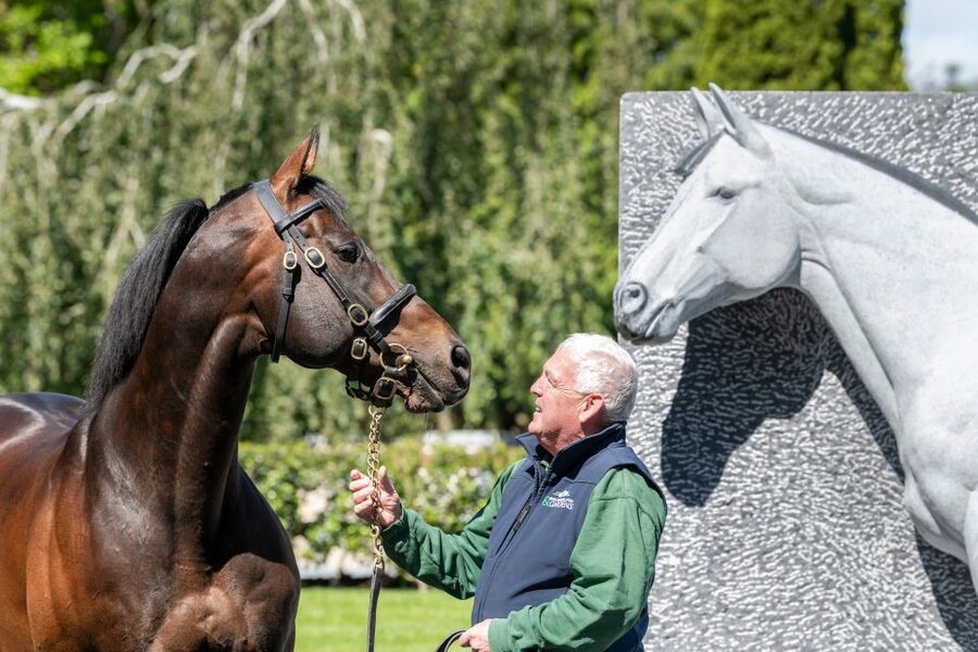 Kildare: Irish National Stud & Gardens - The farm tour: stallions, mares, foals, and the Living Legends rooms