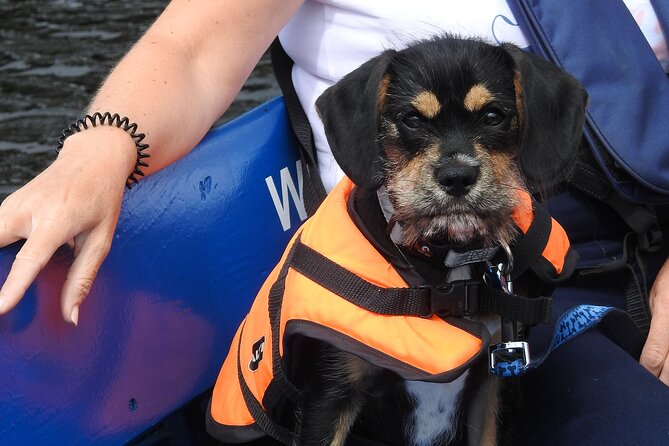 Kilkenny Boat Trip - Open-Air Boat Tips for Comfort and Good Photos