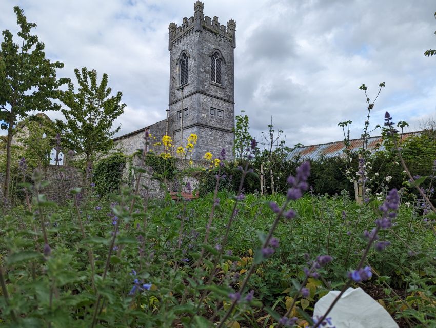 Kilkenny: Historical Highlights Walking Tour - Into the old neighborhoods: Irishtown, Kieran Street, and Parliament Street
