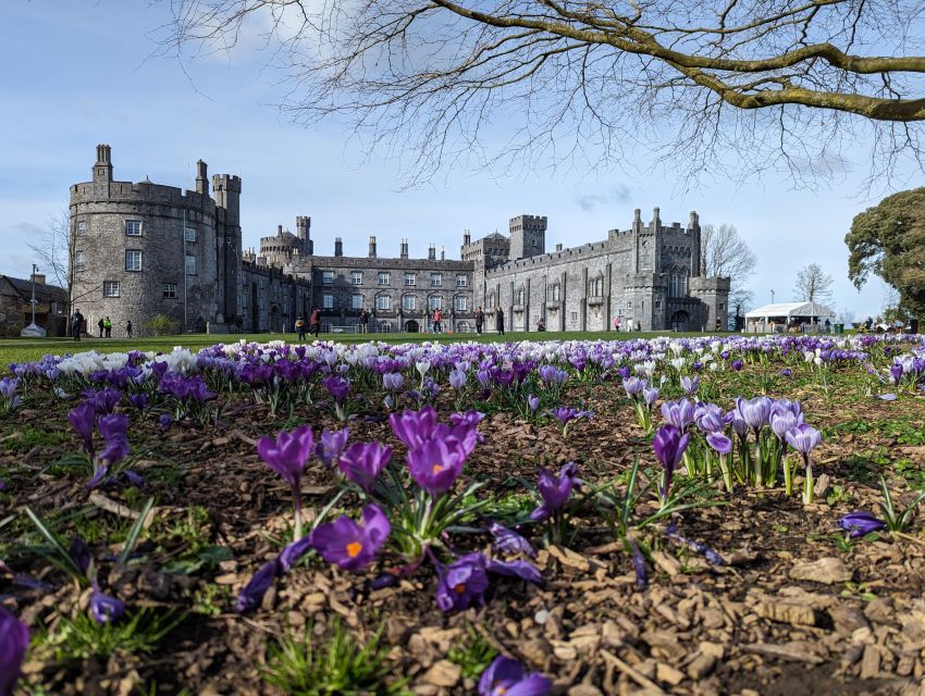 Kilkenny: Historical Highlights Walking Tour - Black Abbey: a quick self-guided moment that you can actually use