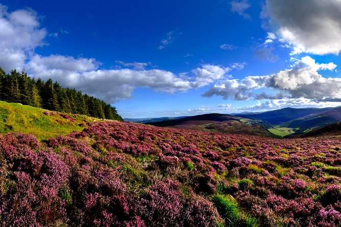 Kilkenny, Wicklow Mountains & Glendalough Day Tour from Dublin - Kildare Interlude: The Curragh and Ireland’s Racing Pulse