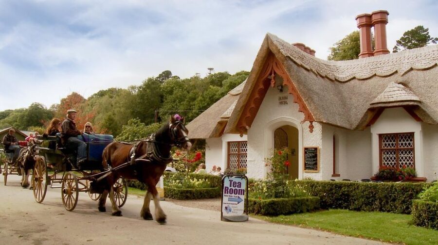 Killarney: 1-Hour Jaunting Car Horse and Carriage Tour - MacGillycuddy Reeks sightlines and deer-spotting moments