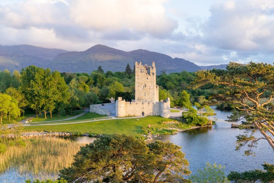 Killarney: 1-Hour Jaunting Car Horse and Carriage Tour - The Ross Castle stop, what you can do there, and what’s not included