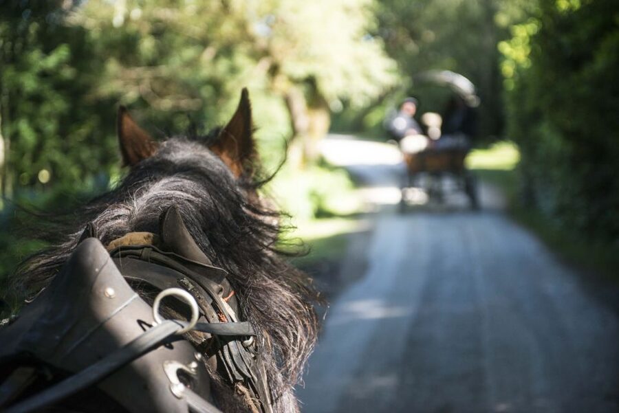 Killarney: 1-Hour Jaunting Car Horse and Carriage Tour - Comfort and weather-proofing, including low steps and blankets