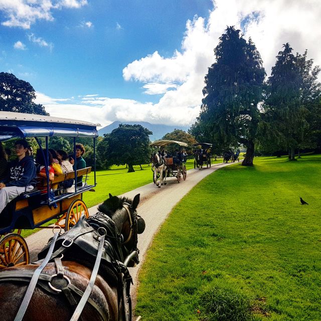 Killarney: 1-Hour Jaunting Car Horse and Carriage Tour - Price and value: is $43 for an hour a good deal?