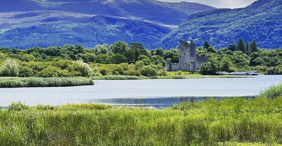 Killarney Jaunting Car Tour - Things to Know Before You Book This Killarney Carriage Ride