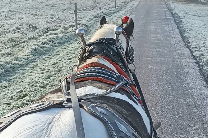 Killarney Jaunting Car Tour - A Jaunting Car in Killarney National Park, the Original Way to Ride