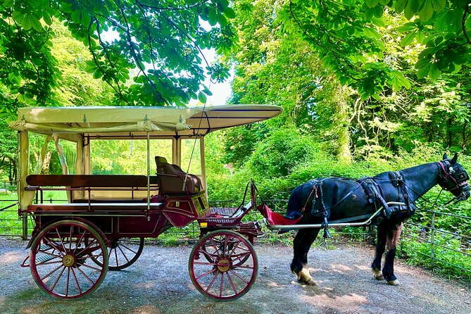 Killarney Jaunting Car Tour - Meeting at Deenagh Lodge Without Driving In