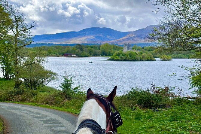 Killarney Jaunting Car Tour - Your 1-Hour Itinerary, Stop by Stop