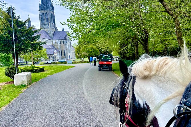 Killarney Jaunting Car Tour - All-Weather Comfort: Covered Carriages and Woollen Blankets