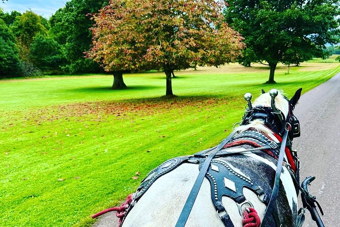 Killarney Jaunting Car Tour - Why the Guide Changes Everything (Damian Gets Noticed)