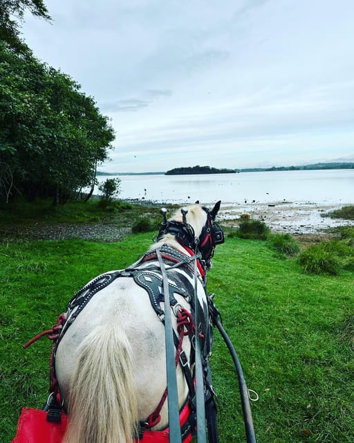 Killarney Jaunting Car Tour - Who This Killarney Jaunting Car Tour Suits Best