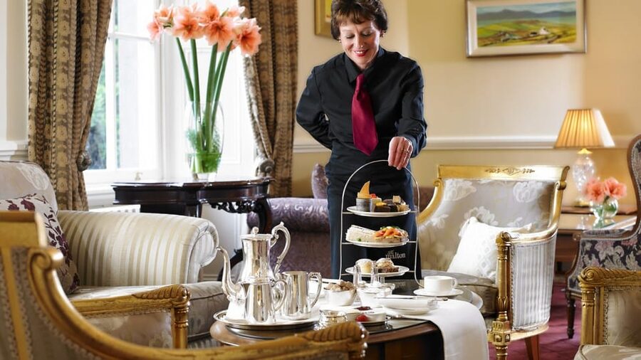 Killarney: Jaunting Car Tour with Afternoon Tea - Killarney National Park Stops: Red Deer, Oak and Yew Woodland, and the Reeks