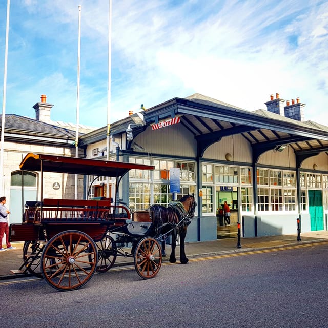 Killarney: Jaunting Car Tour with Afternoon Tea - Price and Time: Is $102 Worth It for 2.5 Hours?