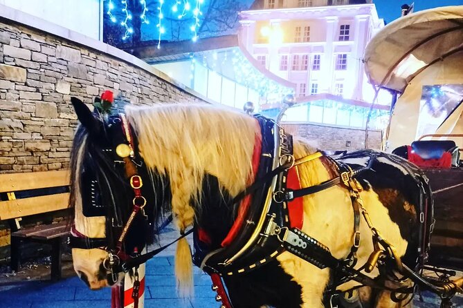 Killarney Jaunting Car Tour - Price and Value: What You Get for $51