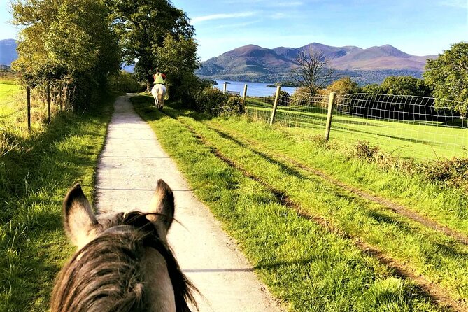 Killarney National Park Horseback Ride. Co Kerry. Guided. 3 hours. - Horses, helmets, and the safety details that actually matter