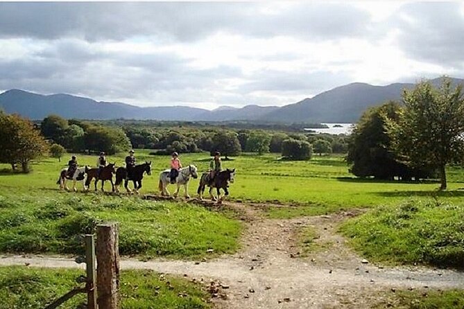Killarney National Park Horseback Ride. Co Kerry. Guided. 3 hours. - What the guides bring, from Annie to Emma