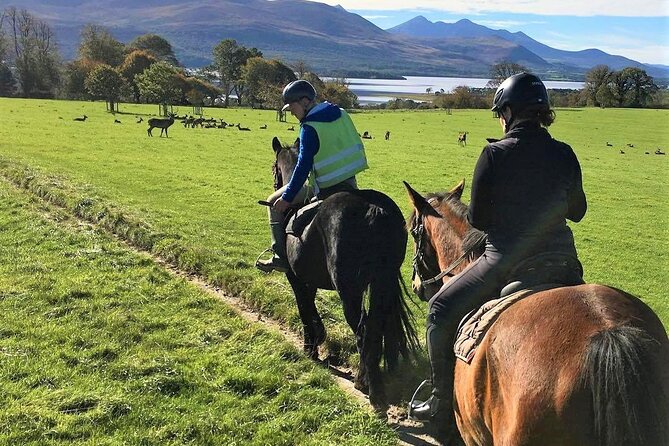 Killarney National Park Horseback Ride. Co Kerry. Guided. 3 hours. - Price and value, what $282.97 buys you in real terms
