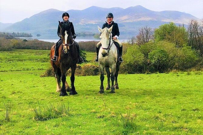 Killarney National Park Horseback Ride. Co Kerry. Guided. 3 hours. - Who this horseback ride is best for