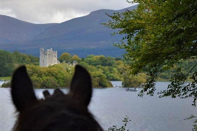 Killarney National Park Horseback Ride. Co Kerry. Guided. 3 hours. - Practical packing tips so you enjoy the ride more