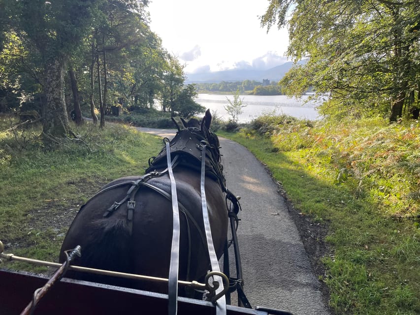 Killarney National Park Jaunting Car Tour - Key things to know before you ride