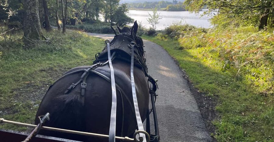 Killarney National Park Jaunting Car Tour - A gentle, guided horse ride through Killarney’s must-see sights